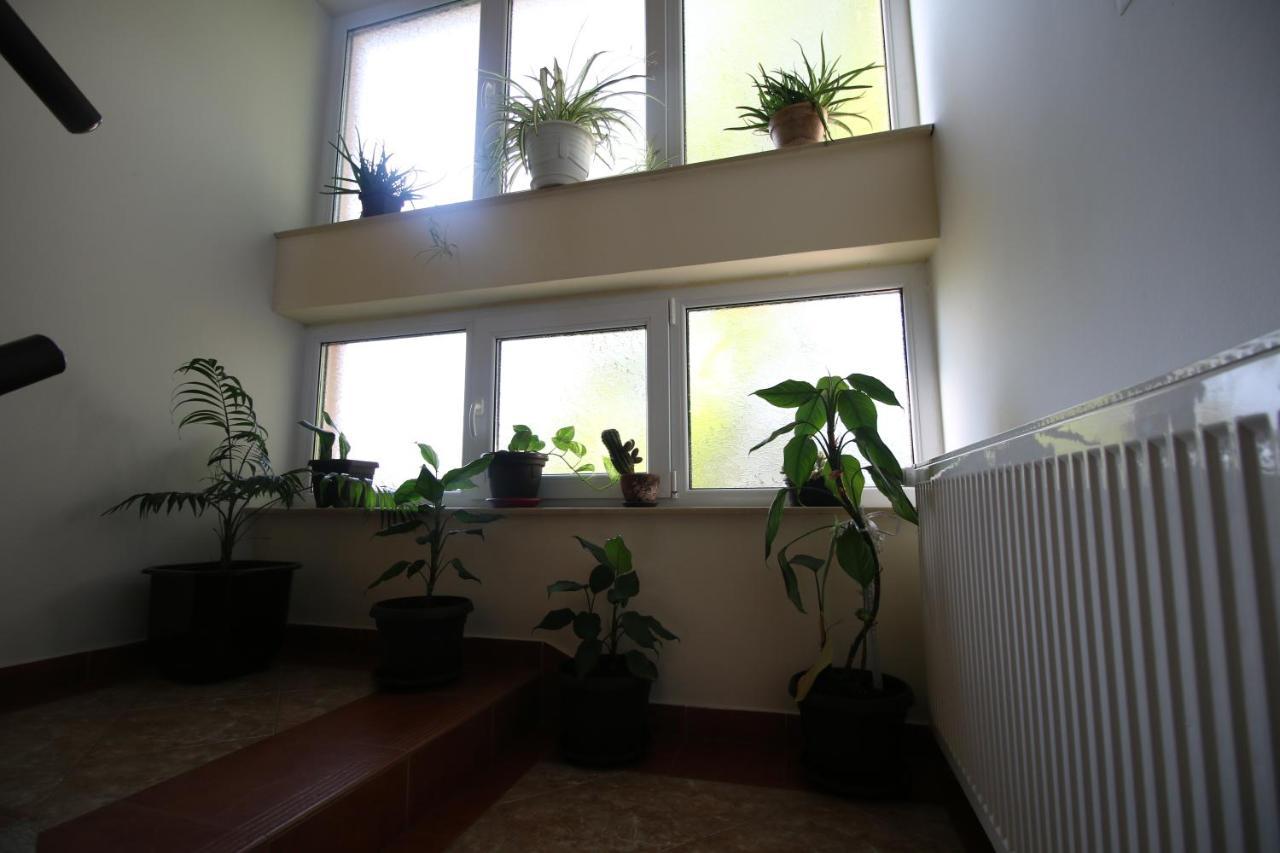 Hostel Teresianum Aleksinac Extérieur photo